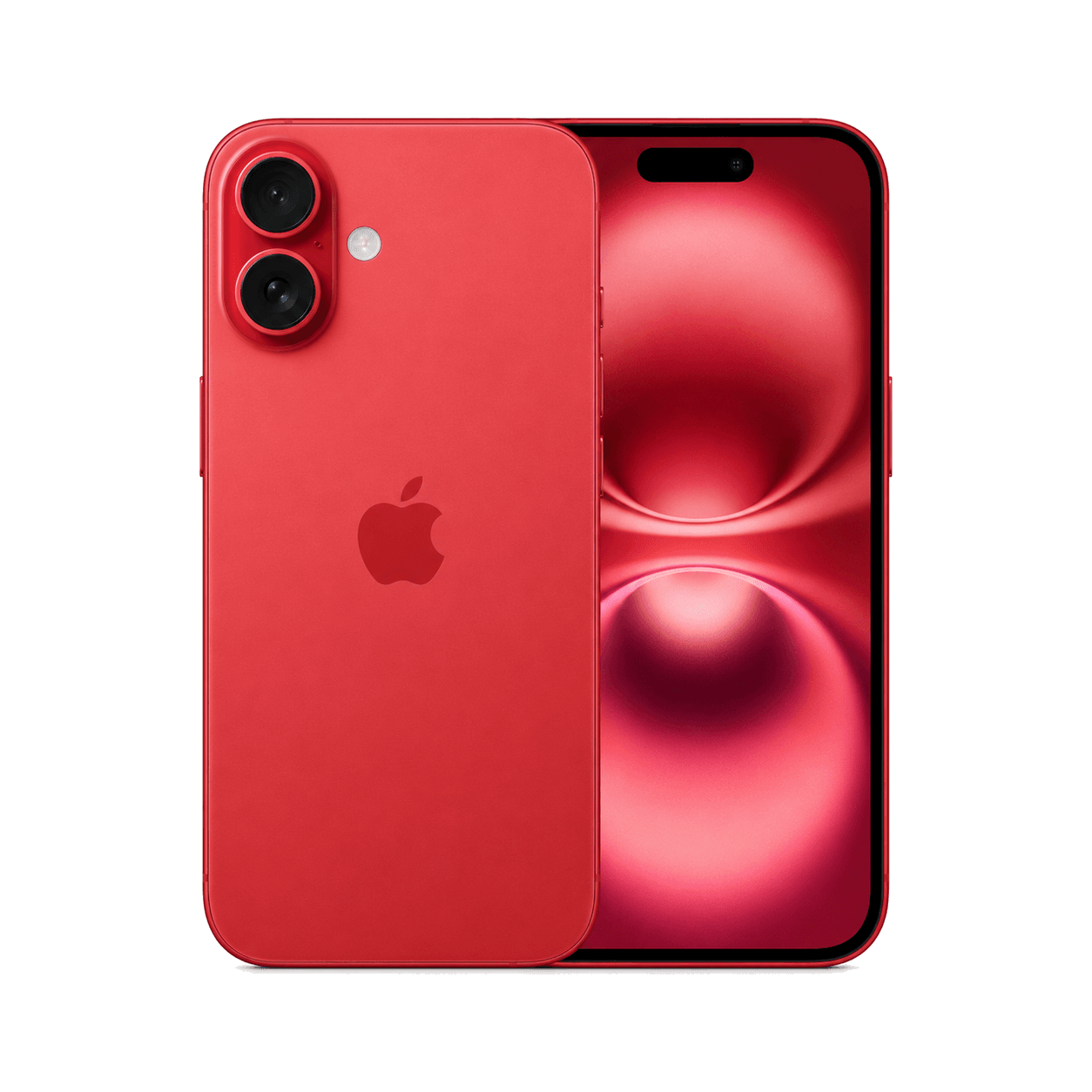 iPhone 16 cases