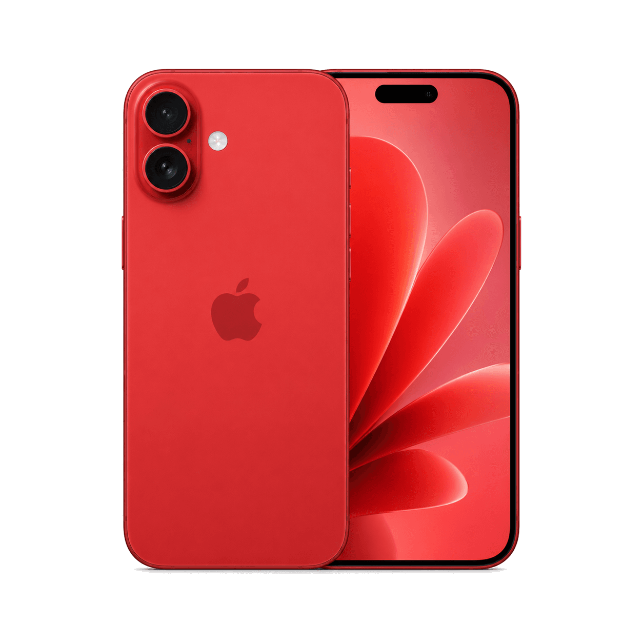 iPhone 17 cases