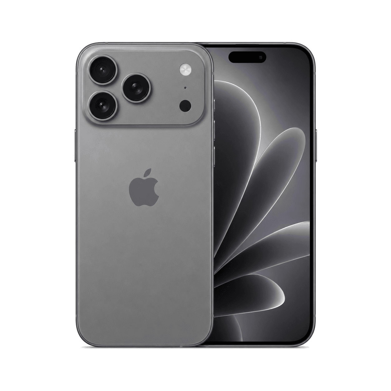 iPhone 17 Pro cases